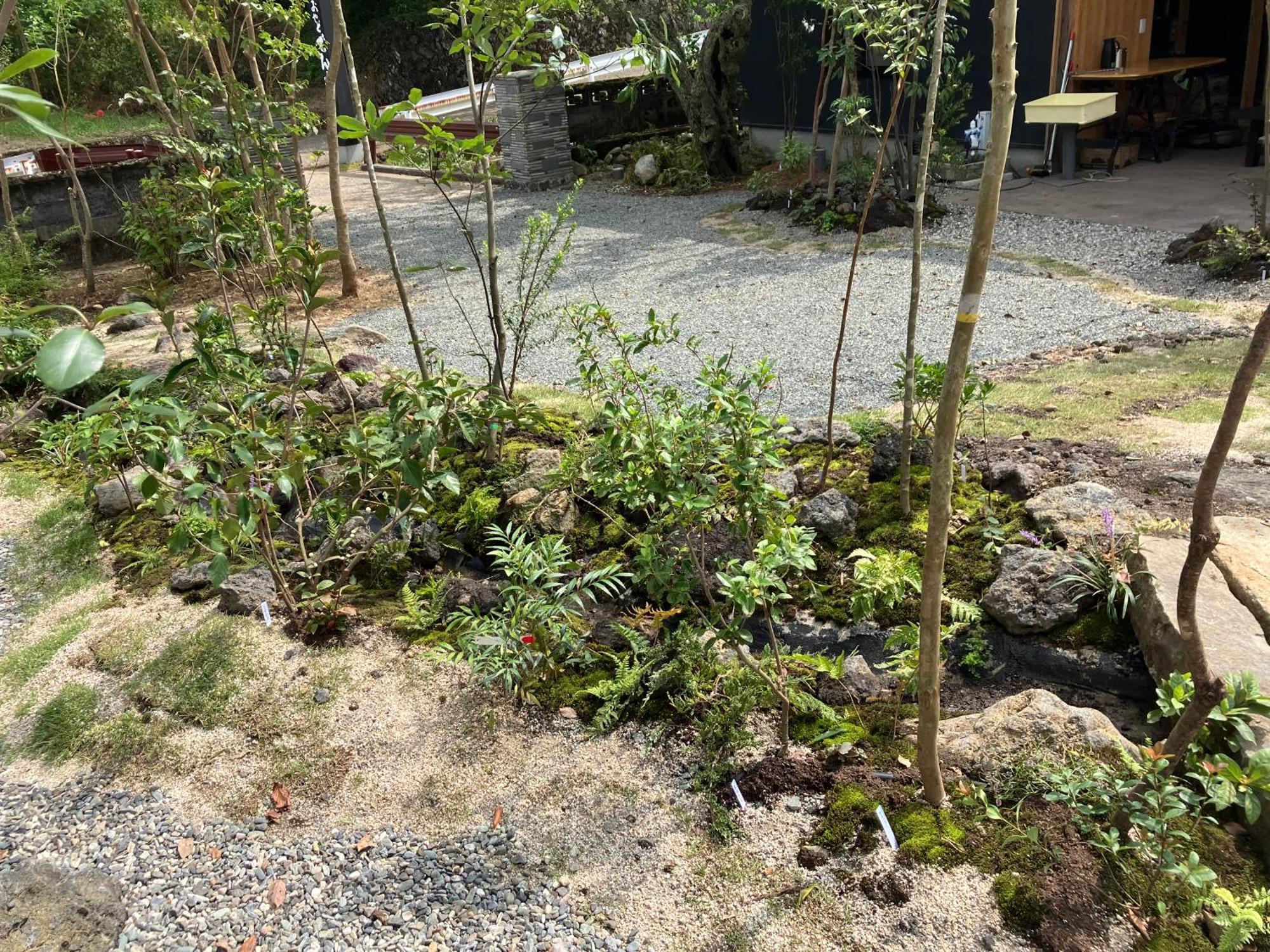 お宿でん吉 Minamiaso Bagian luar foto